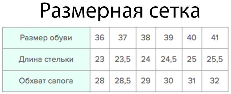 Жіночі уггі "Lazer" чорні